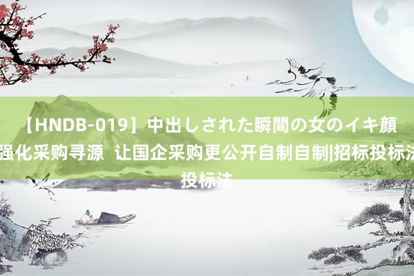 【HNDB-019】中出しされた瞬間の女のイキ顔 强化采购寻源  让国企采购更公开自制自制|招标投标法