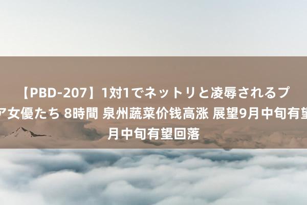 【PBD-207】1対1でネットリと凌辱されるプレミア女優たち 8時間 泉州蔬菜价钱高涨 展望9月中旬有望回落