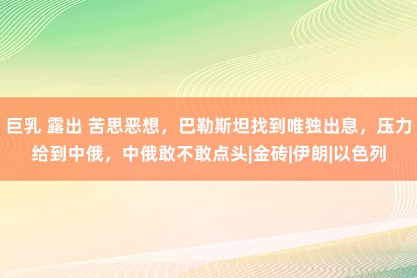 巨乳 露出 苦思恶想，巴勒斯坦找到唯独出息，压力给到中俄，中俄敢不敢点头|金砖|伊朗|以色列