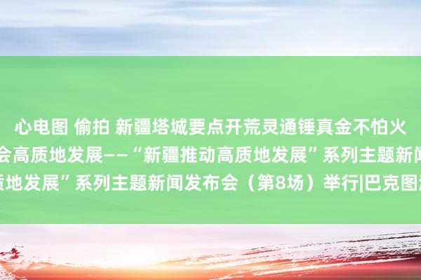 心电图 偷拍 新疆塔城要点开荒灵通锤真金不怕火区助推塔城地区经济社会高质地发展——“新疆推动高质地发展”系列主题新闻发布会（第8场）举行|巴克图港口