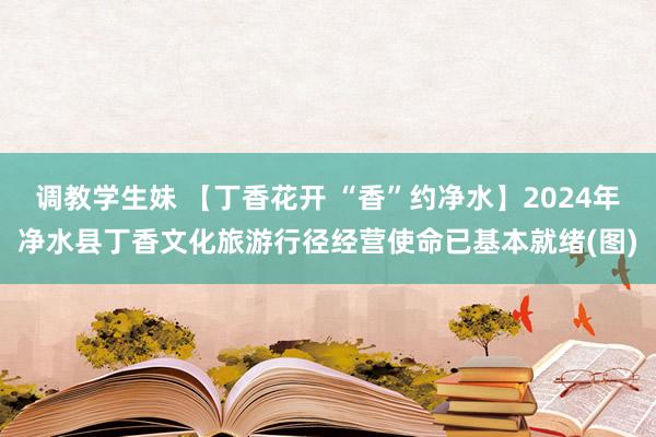 调教学生妹 【丁香花开 “香”约净水】2024年净水县丁香文化旅游行径经营使命已基本就绪(图)