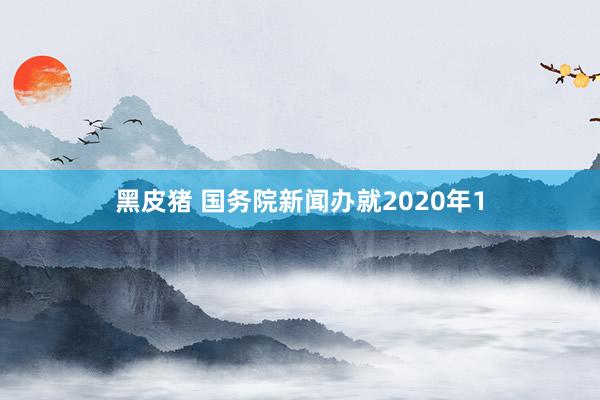 黑皮猪 国务院新闻办就2020年1