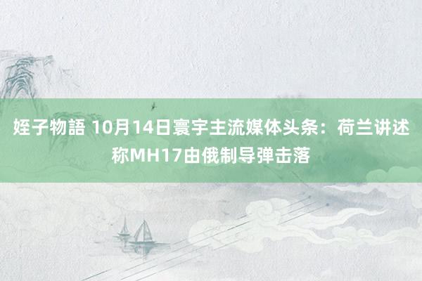 姪子物語 10月14日寰宇主流媒体头条：荷兰讲述称MH17由俄制导弹击落