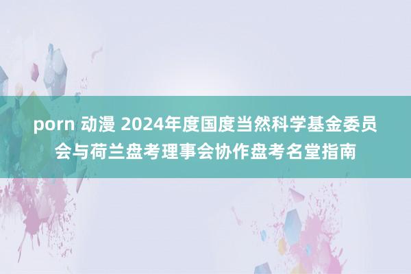 porn 动漫 2024年度国度当然科学基金委员会与荷兰盘考理事会协作盘考名堂指南