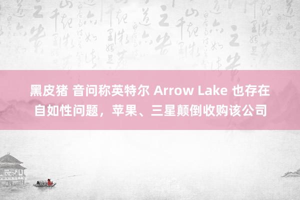 黑皮猪 音问称英特尔 Arrow Lake 也存在自如性问题，苹果、三星颠倒收购该公司