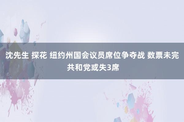 沈先生 探花 纽约州国会议员席位争夺战 数票未完 共和党或失3席