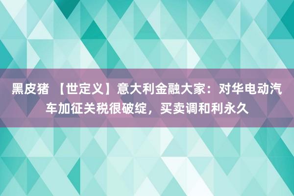 黑皮猪 【世定义】意大利金融大家：对华电动汽车加征关税很破绽，买卖调和利永久