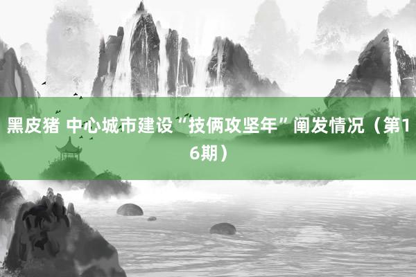 黑皮猪 中心城市建设“技俩攻坚年”阐发情况（第16期）